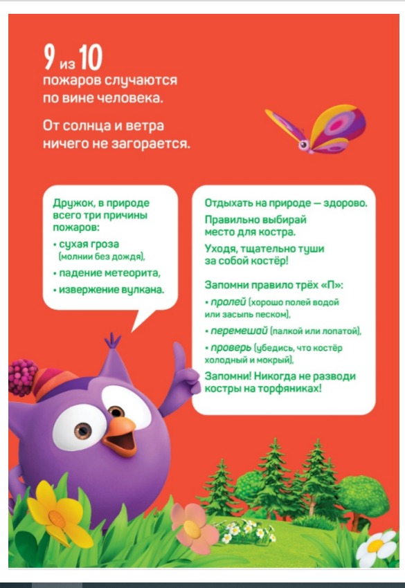 Памятка для детей и их родителей о пожарах на природных территориях ..